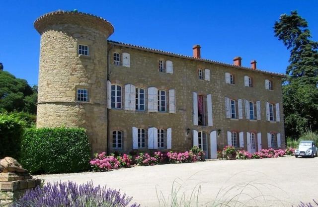 Family Gite at Chateau de Montoussel - Toulouse