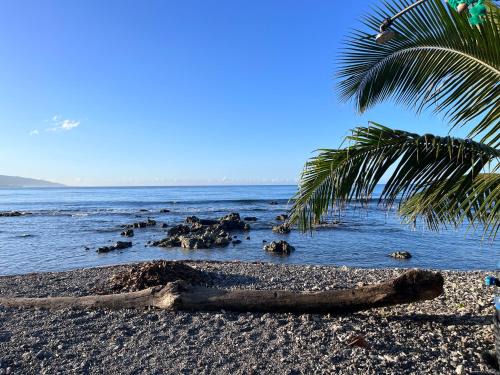 Fare miti Tuaimoe Afaahiti (Beach house)
