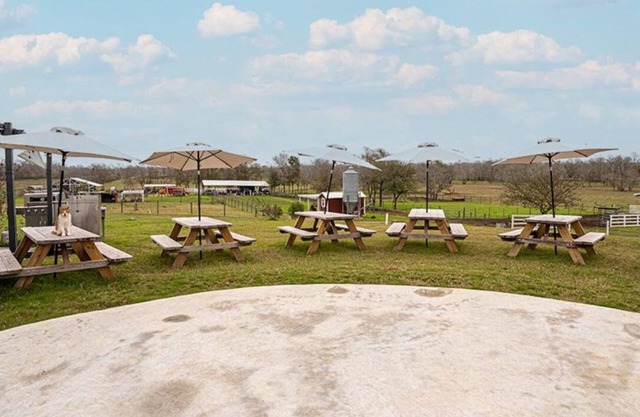 Farm experience and group getaway at Pazific Ranch
