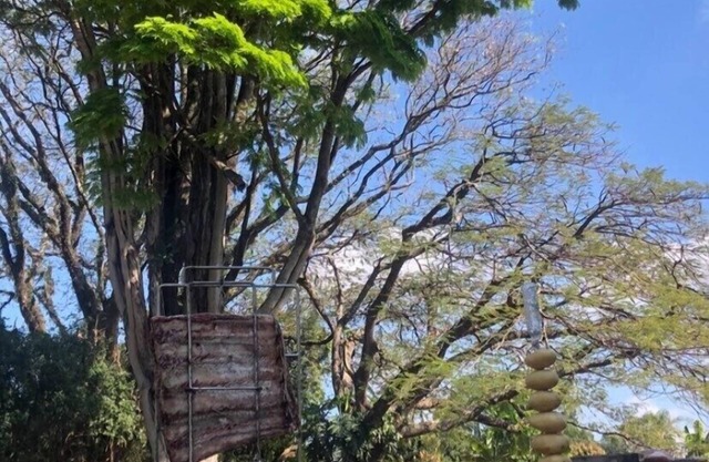 Farm with Pool in Boituva /Porto Feliz