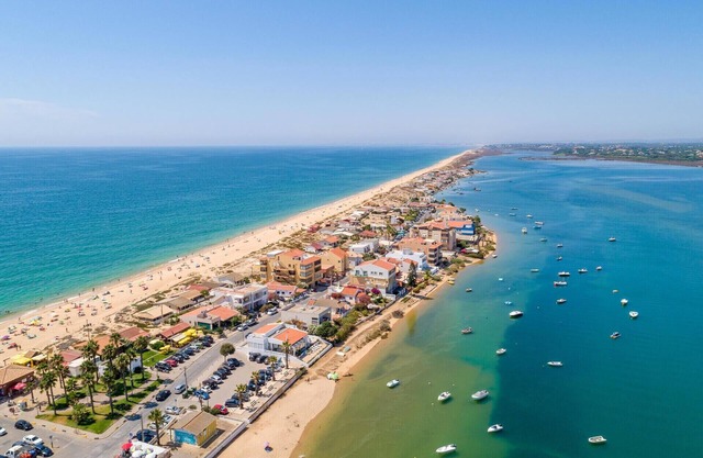 Faro Deluxe by Homing