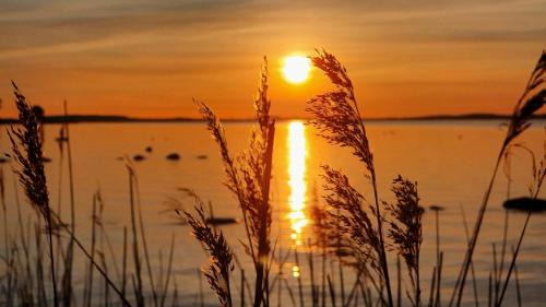 Ferienhaus Ostseebodden