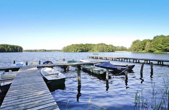 Ferienhaus Seeidyll am Duemmer See, Duemmer