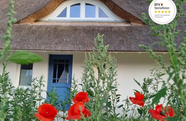 Ferienhaus Wippezogel