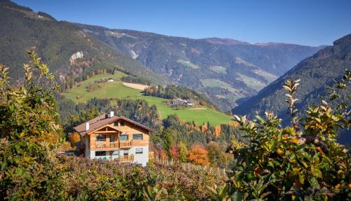 Ferienwohnung am Kernhof - Neues Apartment in ruhiger Lage mitten in der Natur - ideal für Paare, Familien, Gäste mit Hunden