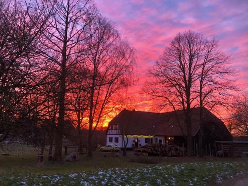 Ferienwohnung Bergfeld