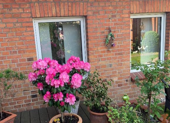 Ferienwohnung-in-Stadtmitte