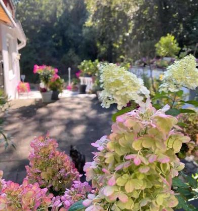 Ferienwohnung Little Something