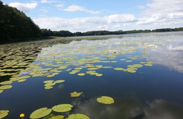 Ferienwohnung Seebusch