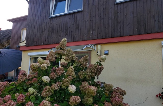 Ferienwohnungen & Ferienhaus bei Plau am See, Mecklenburgische Seenplatte