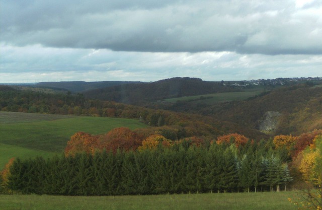 Fernblick vacation apartment with indoor pool, swimming pond & direct access to the garden