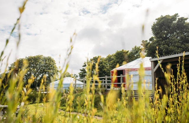 Field Maple - A spacious Mongolian-inspired Yurt in stunning eco-friendly estate near Newquay
