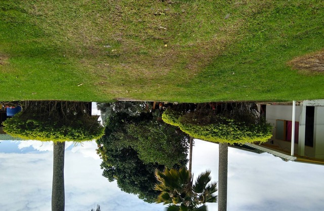 finca ecoturistica la palomera