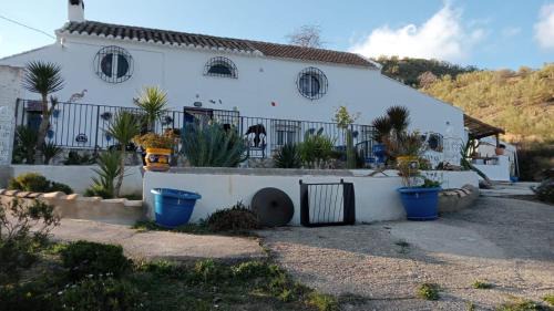 Finca Las Minas - Studio