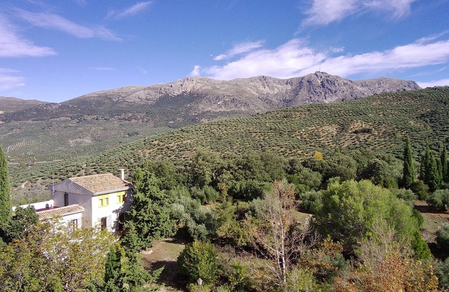 Finca Rural La Calderera con 10.000 Metros Cuadrados en Plena Sierra Sur