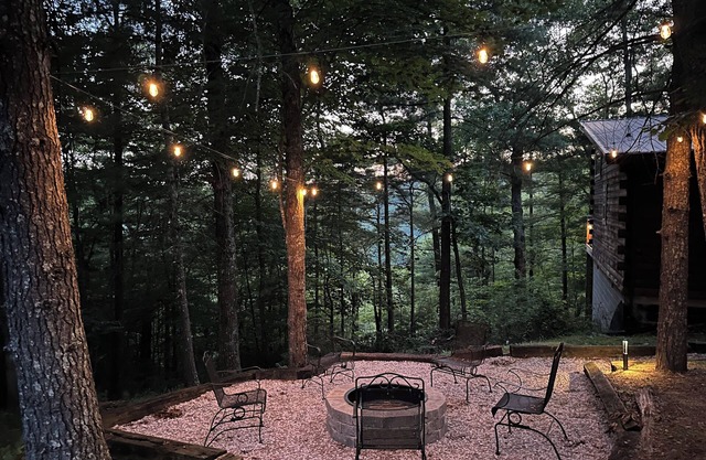 Firefly 3BR/3BA cabin with amazing views!