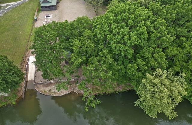 Firefly at Lazy River Cabins on Mt Fork River