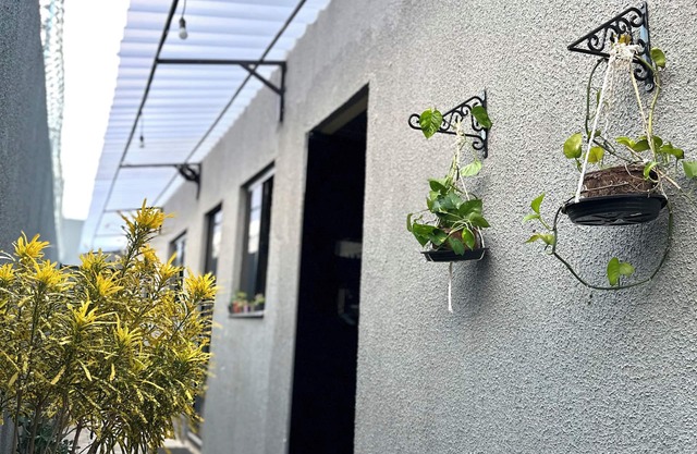 Flat Davisis - Parada do Jalapão