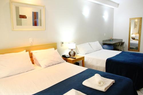 Flats em frente ao Allianz Parque e Shopping Bourbon in Hotel - Perdizes