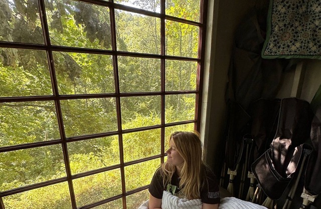 Floating Heaven: Treehouse Lodging with 'casita' & View