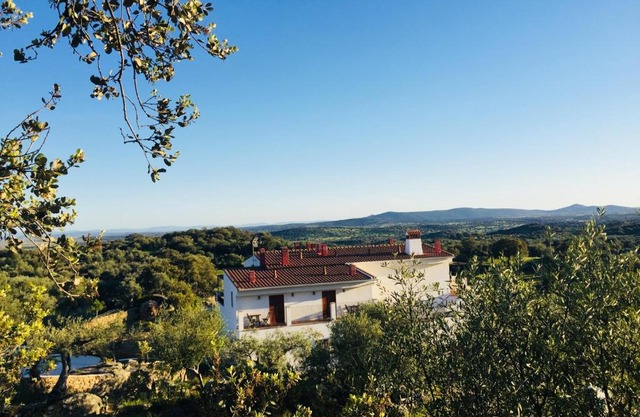 Flores Amarillas B&B