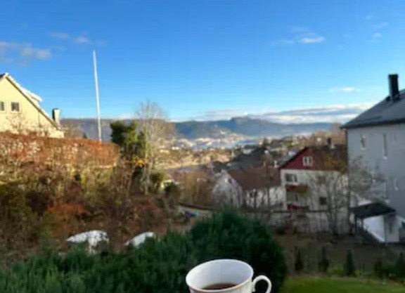 Florvåg -flott utsikt mot byen