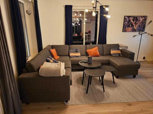 Flott hytte i Elgtrakket 9, 3864 Rauland Skisenter - Holtardalen