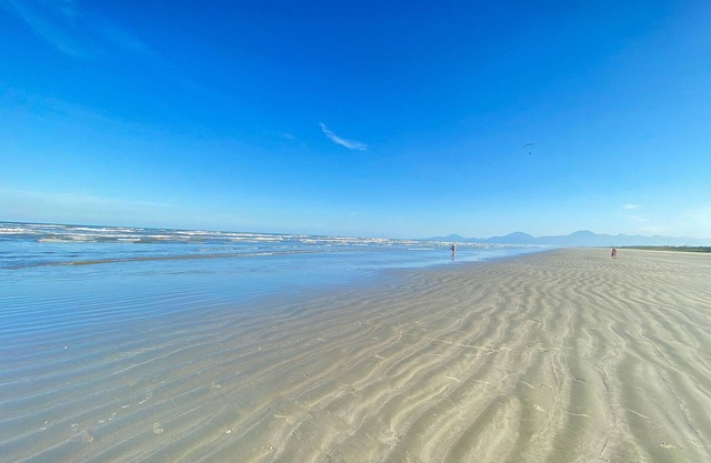 Foot in the Sand Beach Seagulls