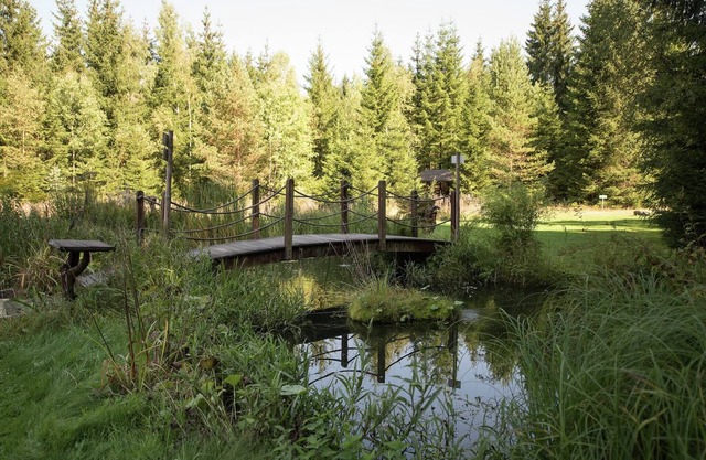 Forest Retreat in Jägersgrün