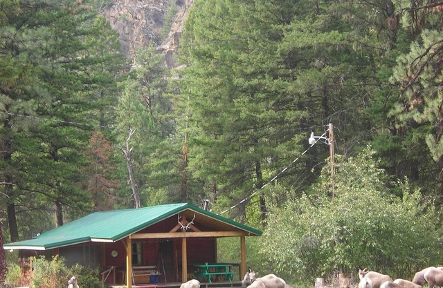 Forest Service Type Cabins 30 Miles outside Missoula-