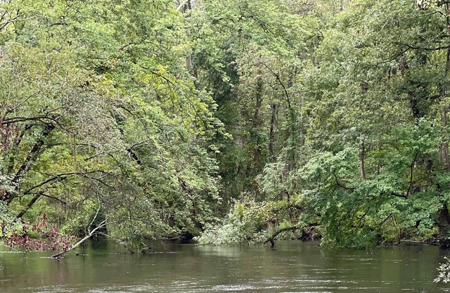 Forget your worries in our serene River front 5 bedroom house.