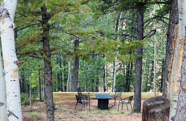 Forrest Home Cabin - Pikes Peak Region Convenience - Now on VRBO!