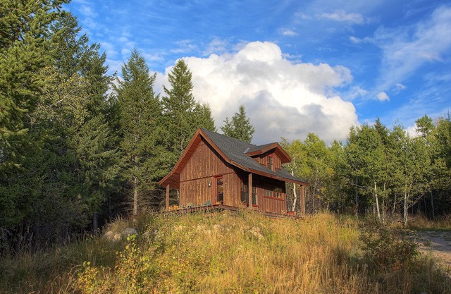 Fox Creek cabin in the woods