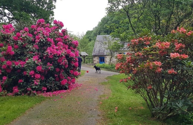 LE MOULIN D'AIROU