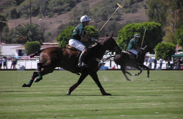 Front Row Seat On A World Class Polo Field!
