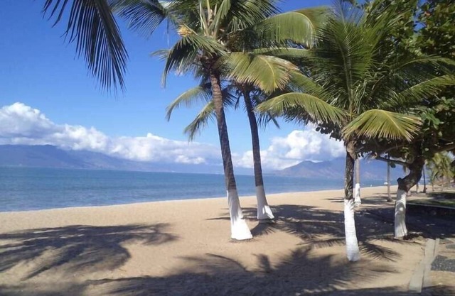 Furnished apartment - Martim de Sá