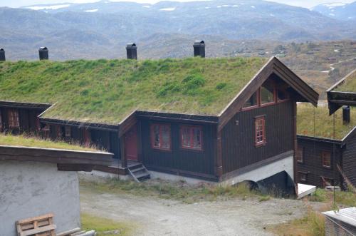 Gamlestøyl 30D, Haukeli Vågslid