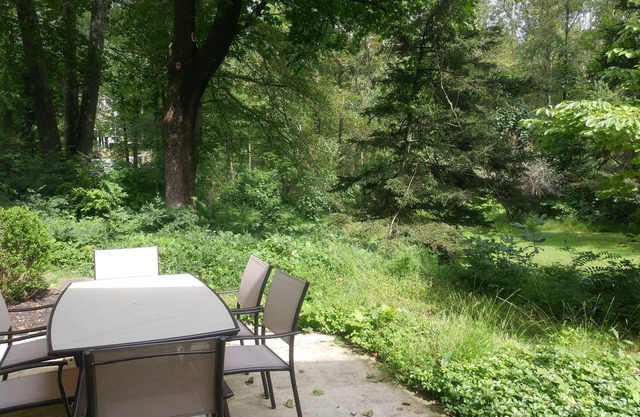 Garden Studio with Private Full Bath & Sauna. Self check-in.