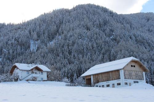 Gemütliche Ferienwohnung Für Vier Personen