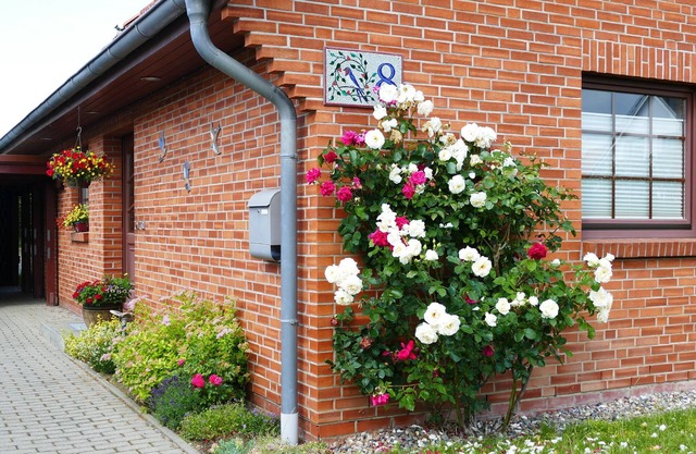 Gemütliches Apartment in Rövershagen mit Garten