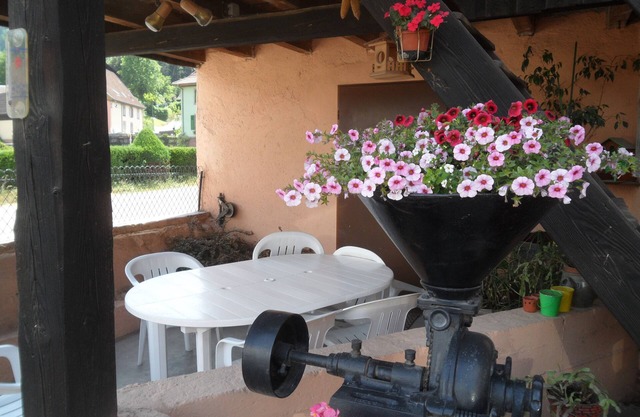 GITE AU JARDIN DE MON ENFANCE 4 persons MUNSTER Valley