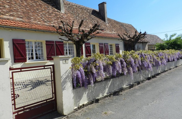 GITE "LES GLYCINES" IN THE COUNTRY IN PERIGORD