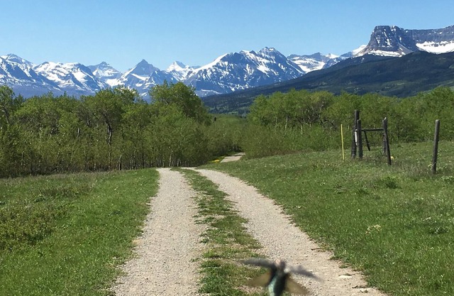 Glacier Summit - Spacious, New & Modern Villa Overlooking the Forest & Rockies