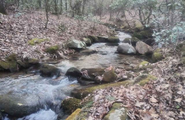 Glamping at it's finest, near Helen. Special! Book 2 nights, get a free night!