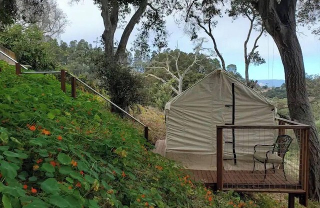 Glamping Wetlands Overlook