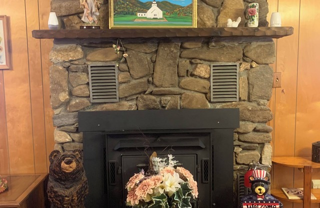 Glorious views! Seeing the mts from the decks! The mountains are so gorgeous!