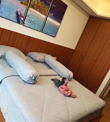 gold coast pik BEACH ROOM 1br netflix wifi sofa bed