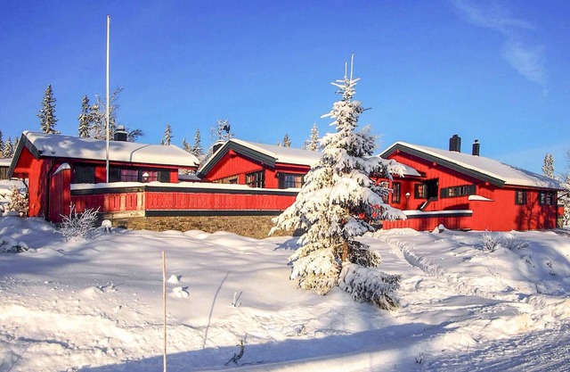 Gorgeous home in østby with WiFi