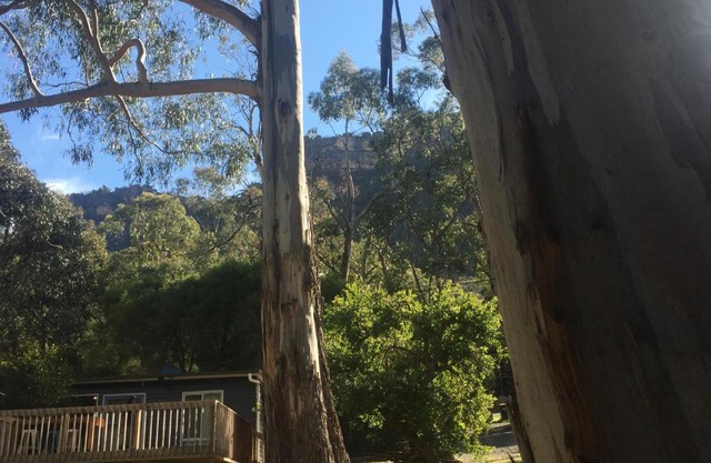 Grampians Nest