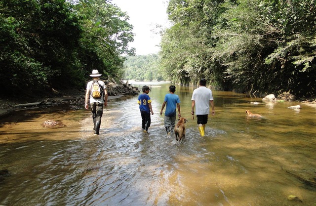 GRAND SELVA LODGE & TOURS